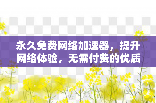 永久免费网络加速器，提升网络体验，无需付费的优质选择