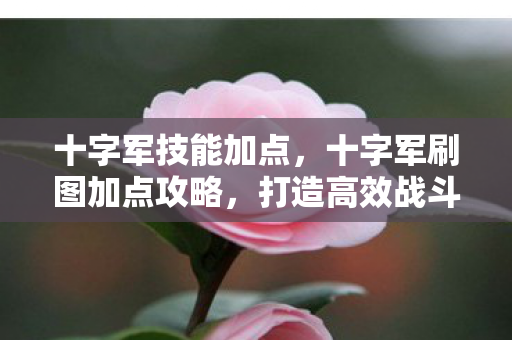 十字军技能加点，十字军刷图加点攻略，打造高效战斗力的关键