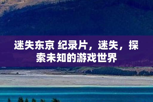 迷失东京 纪录片，迷失，探索未知的游戏世界