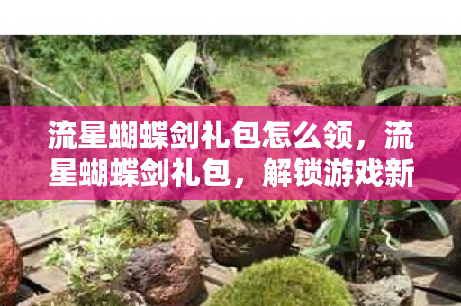 流星蝴蝶剑礼包怎么领，流星蝴蝶剑礼包，解锁游戏新世界的钥匙