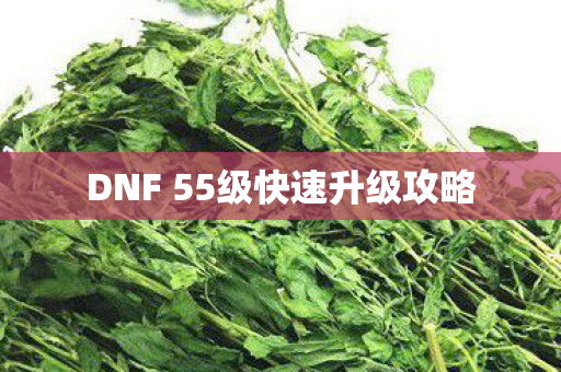 DNF 55级快速升级攻略 DNF 55级快速升级攻略