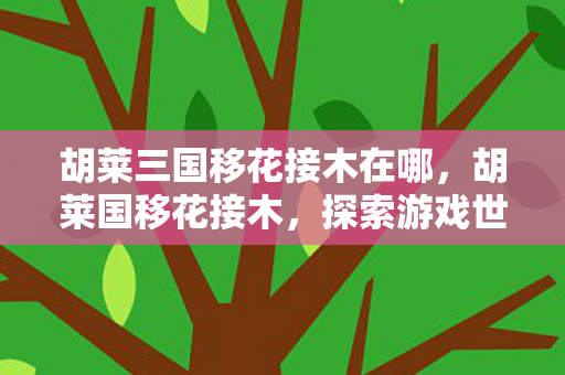 胡莱三国移花接木在哪，胡莱国移花接木，探索游戏世界的另类玩法