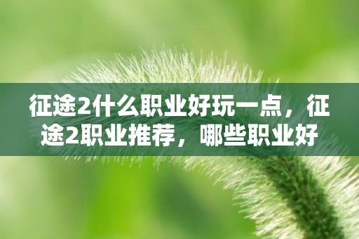 征途2什么职业好玩一点，征途2职业推荐，哪些职业好玩？