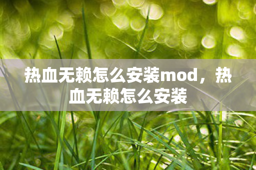 热血无赖怎么安装mod,热血无赖怎么安装 热血无赖怎么安装mod,热血无赖怎么安装