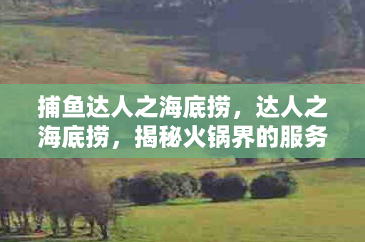 捕鱼达人之海底捞,达人之海底捞,揭秘火锅界的服务之王 捕鱼达人之海底捞,达人之海底捞,揭秘火锅界的服务之王