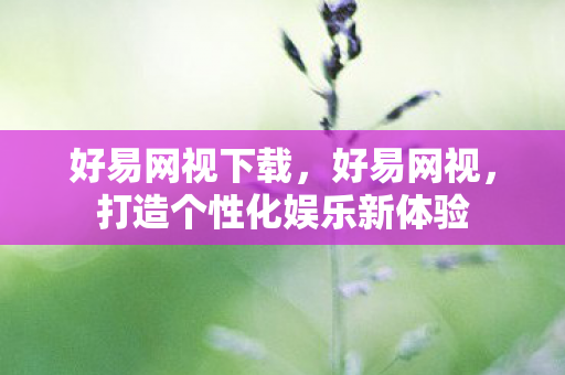 好易网视下载，好易网视，打造个性化娱乐新体验