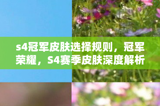 s4冠军皮肤选择规则，冠军荣耀，S4赛季皮肤深度解析