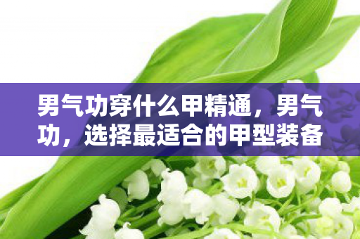 男气功穿什么甲精通，男气功，选择最适合的甲型装备