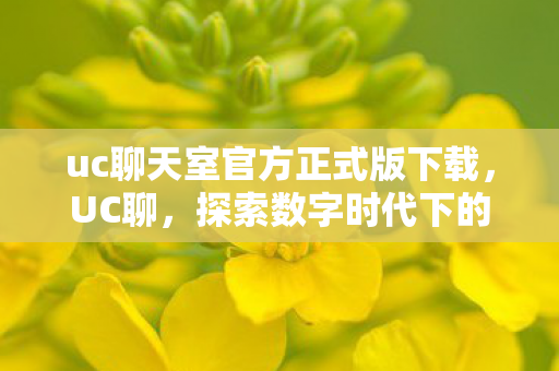 uc聊天室官方正式版下载，UC聊，探索数字时代下的社交新风尚