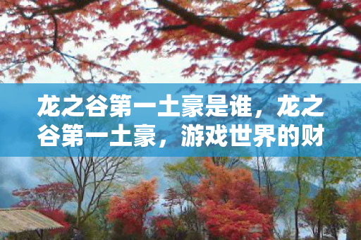 龙之谷第一土豪是谁,龙之谷第一土豪,游戏世界的财富传奇 龙之谷第一土豪是谁,龙之谷第一土豪,游戏世界的财富传奇