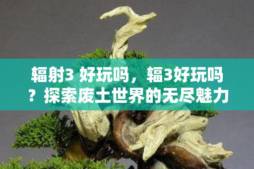 辐射3 好玩吗，辐3好玩吗？探索废土世界的无尽魅力