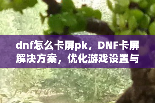 dnf怎么卡屏pk，DNF卡屏解决方案，优化游戏设置与硬件升级
