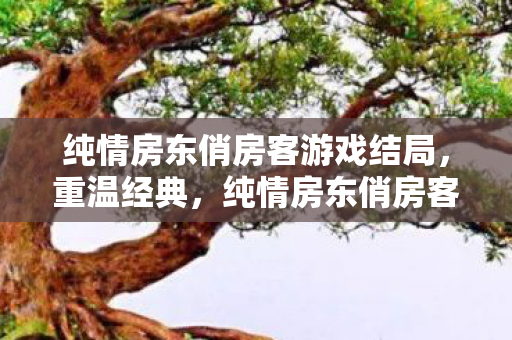 纯情房东俏房客游戏结局,重温经典,纯情房东俏房客游戏的魅力与回忆 纯情房东俏房客游戏结局,重温经典,纯情房东俏房客游戏的魅力与回忆