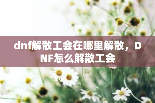 dnf解散工会在哪里解散，DNF怎么解散工会