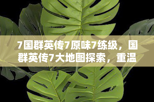 7国群英传7原味7练级,国群英传7大地图探索,重温经典,再续传奇 7国群英传7原味7练级,国群英传7大地图探索,重温经典,再续传奇