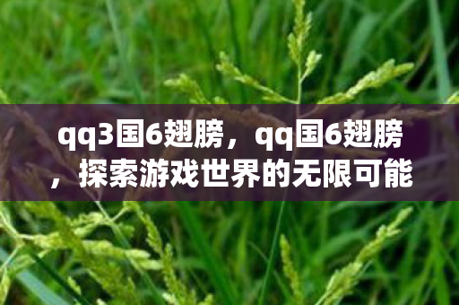 qq3国6翅膀，qq国6翅膀，探索游戏世界的无限可能