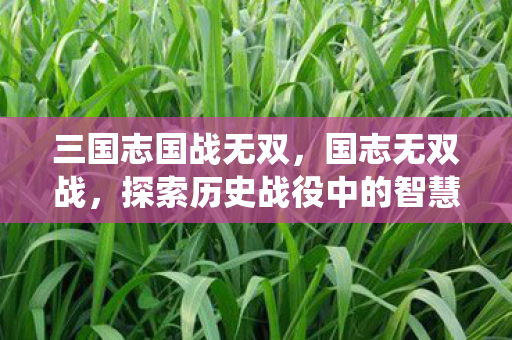 三国志国战无双，国志无双战，探索历史战役中的智慧与勇气