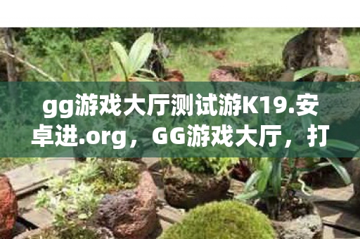 gg游戏大厅测试游K19.安卓进.org，GG游戏大厅，打造个性化游戏体验的绝佳平台