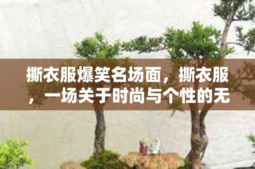 撕衣服爆笑名场面，撕衣服，一场关于时尚与个性的无声革命