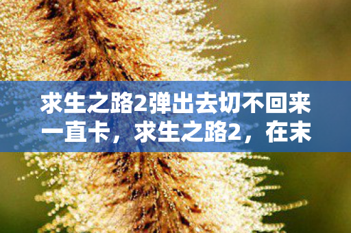 求生之路2弹出去切不回来一直卡，求生之路2，在末日中的生存智慧