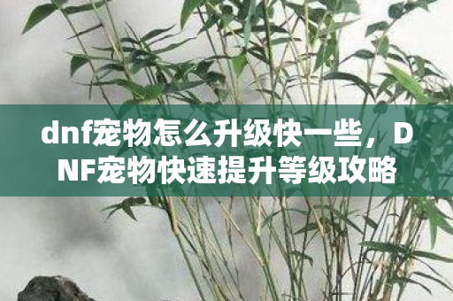dnf宠物怎么升级快一些，DNF宠物快速提升等级攻略