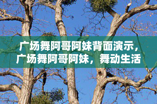 广场舞阿哥阿妹背面演示，广场舞阿哥阿妹，舞动生活的快乐旋律