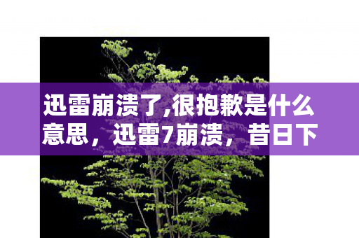 迅雷崩溃了,很抱歉是什么意思,迅雷7崩溃,昔日下载巨头遭遇困境 迅雷崩溃了,很抱歉是什么意思,迅雷7崩溃,昔日下载巨头遭遇困境