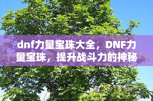 dnf力量宝珠大全，DNF力量宝珠，提升战斗力的神秘法宝