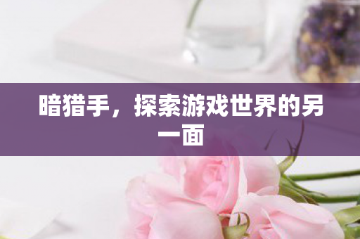 暗猎手，探索游戏世界的另一面