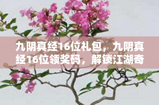 九阴真经16位礼包，九阴真经16位领奖码，解锁江湖奇遇的密钥