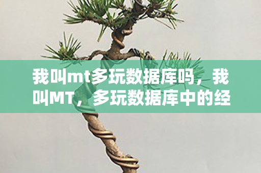 我叫mt多玩数据库吗，我叫MT，多玩数据库中的经典与传承