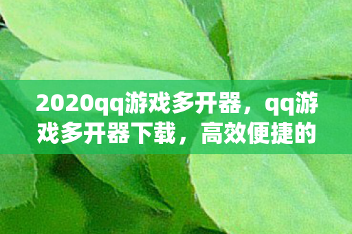 2020qq游戏多开器，qq游戏多开器下载，高效便捷的游戏体验
