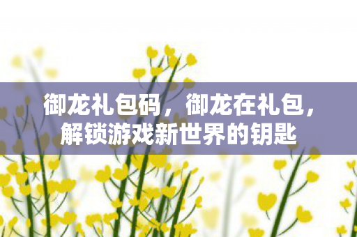 御龙礼包码，御龙在礼包，解锁游戏新世界的钥匙