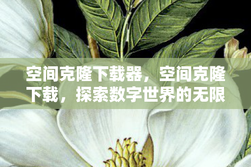 空间克隆下载器,空间克隆下载,探索数字世界的无限可能 空间克隆下载器,空间克隆下载,探索数字世界的无限可能