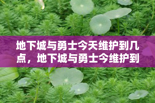 地下城与勇士今天维护到几点，地下城与勇士今维护到几点