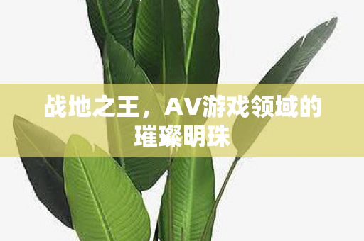 战地之王，AV游戏领域的璀璨明珠
