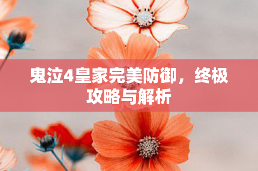 鬼泣4皇家完美防御，终极攻略与解析