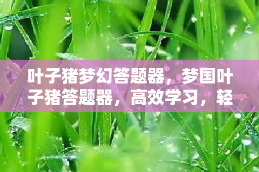 叶子猪梦幻答题器，梦国叶子猪答题器，高效学习，轻松答题