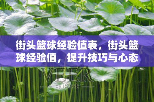 街头篮球经验值表,街头篮球经验值,提升技巧与心态的全方位指南 街头篮球经验值表,街头篮球经验值,提升技巧与心态的全方位指南