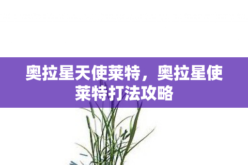 奥拉星天使莱特,奥拉星使莱特打法攻略 奥拉星天使莱特,奥拉星使莱特打法攻略