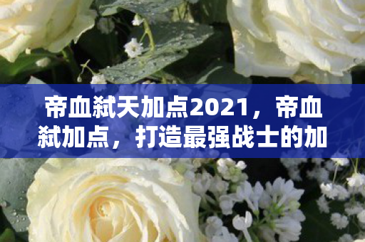 帝血弑天加点2021,帝血弑加点,打造最强战士的加点策略 帝血弑天加点2021,帝血弑加点,打造最强战士的加点策略