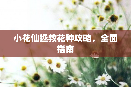 小花仙拯救花种攻略，全面指南