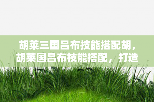 胡莱三国吕布技能搭配胡，胡莱国吕布技能搭配，打造最强战力的策略指南