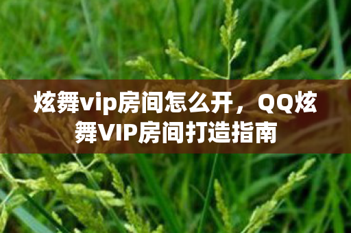 炫舞vip房间怎么开，QQ炫舞VIP房间打造指南