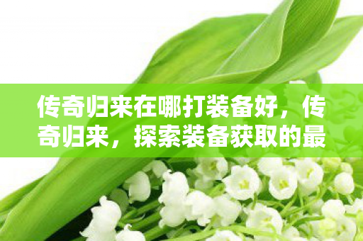 传奇归来在哪打装备好，传奇归来，探索装备获取的最佳途径