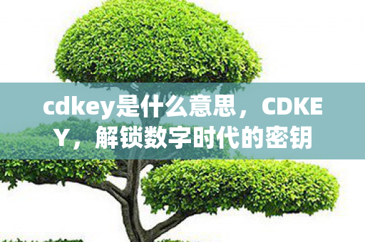 cdkey是什么意思,CDKEY,解锁数字时代的密钥 cdkey是什么意思,CDKEY,解锁数字时代的密钥