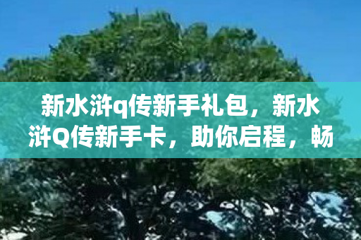 新水浒q传新手礼包,新水浒Q传新手卡,助你启程,畅游水浒世界 新水浒q传新手礼包,新水浒Q传新手卡,助你启程,畅游水浒世界