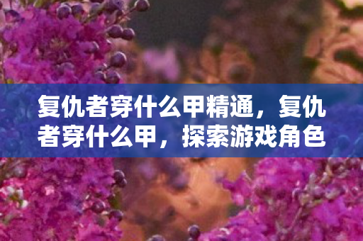 复仇者穿什么甲精通，复仇者穿什么甲，探索游戏角色与装备的美学融合