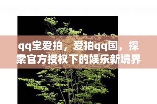 qq堂爱拍，爱拍qq国，探索官方授权下的娱乐新境界
