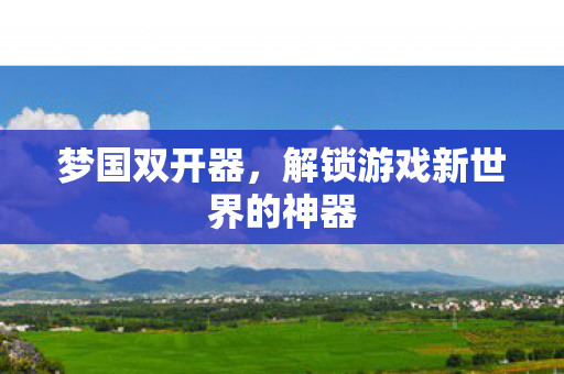 梦国双开器，解锁游戏新世界的神器